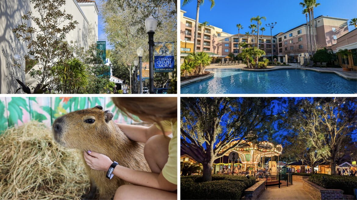 Things to do in Orlando - Museums, pools, animals, and shopping